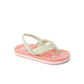 Little Ahi