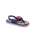 Little Ahi