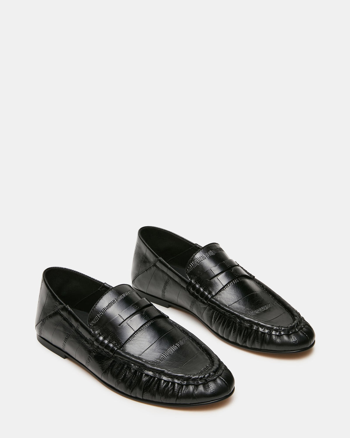 Roger Black Eel