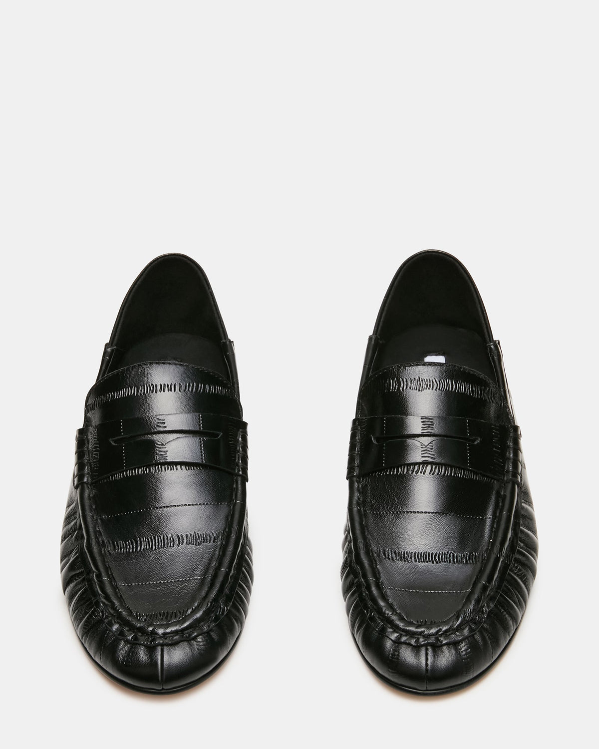 Roger Black Eel