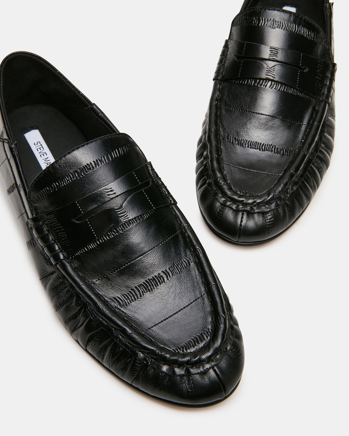 Roger Black Eel