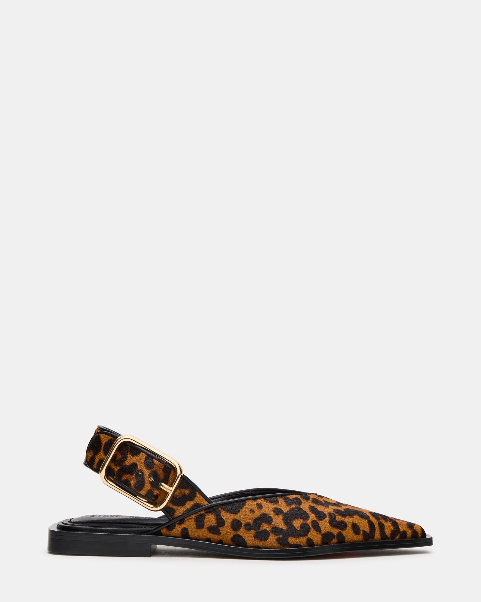 Shay Leopard