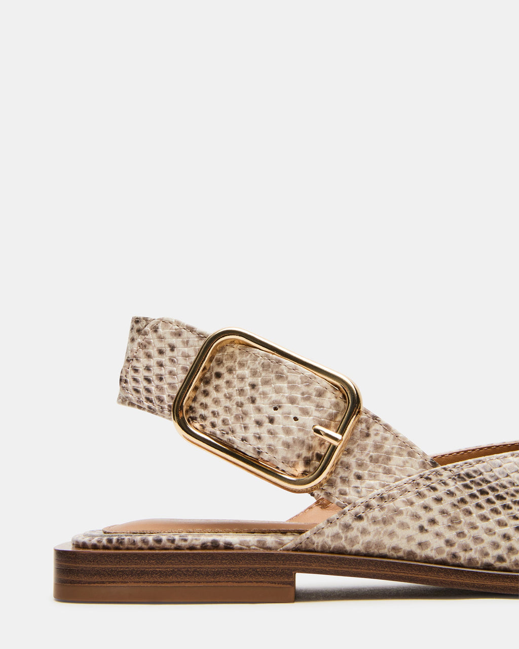 Shay Snake