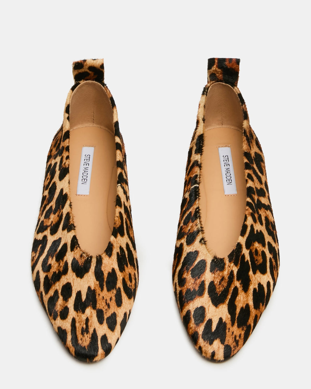 Swanky Leopard