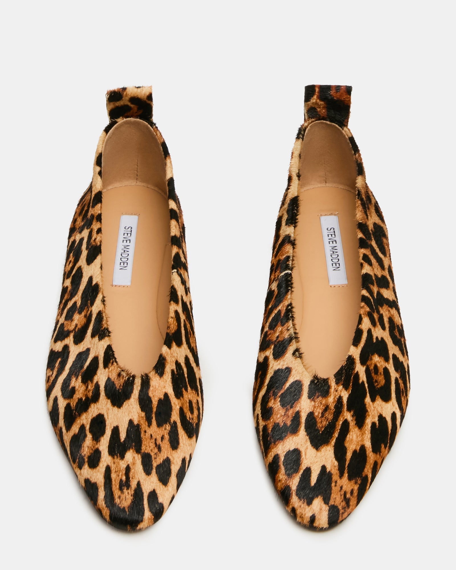 Swanky Leopard