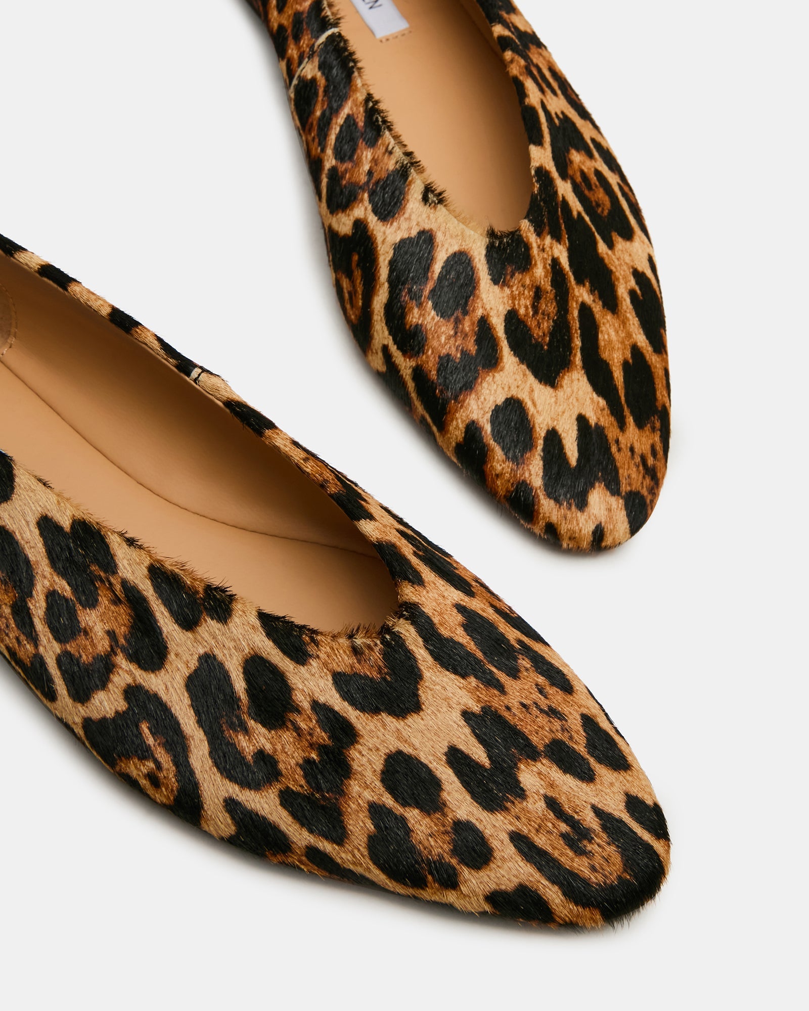Swanky Leopard